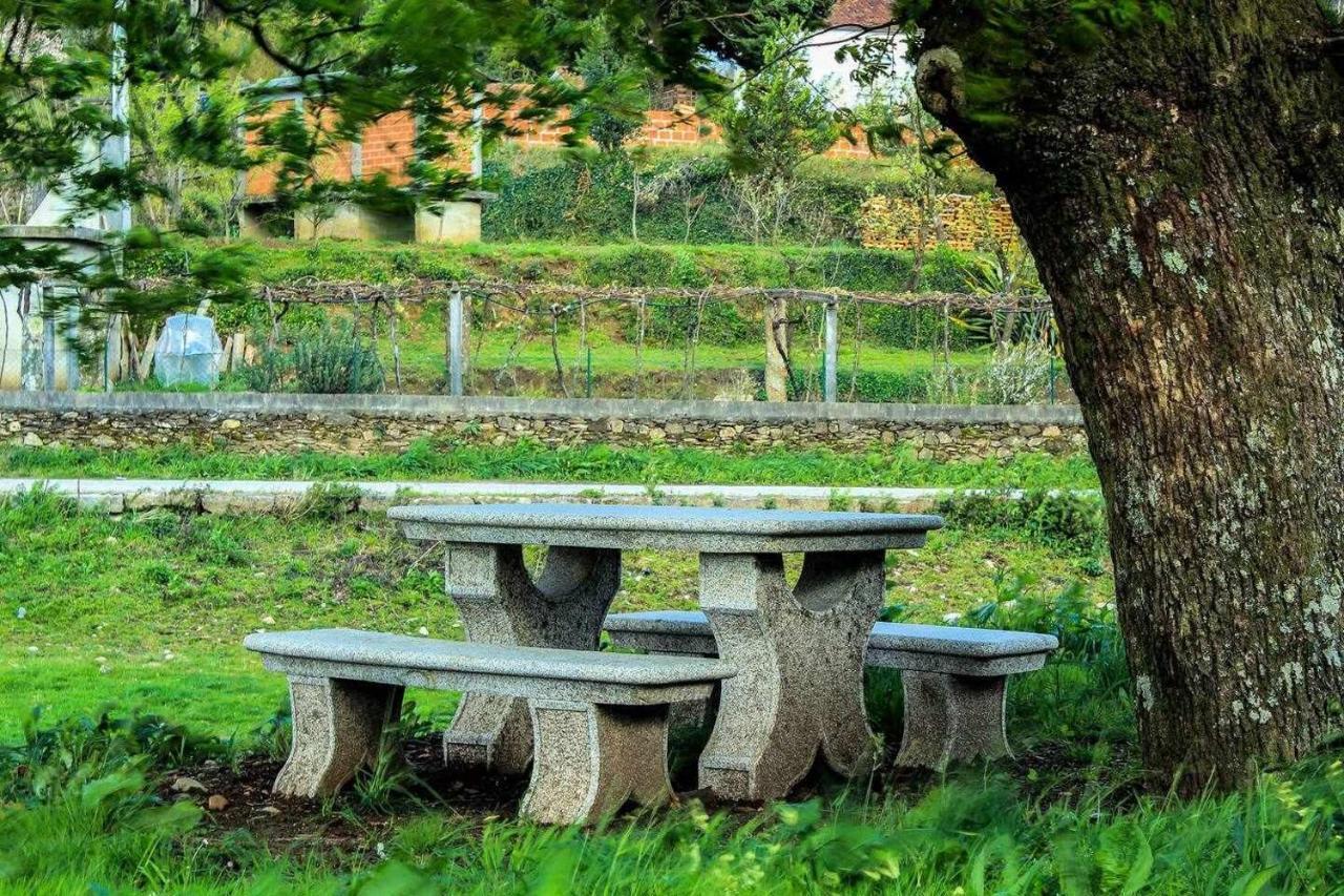 Viana Do Castelo - Amonde Village Casa P - Conforto Qualidade Natureza Экстерьер фото