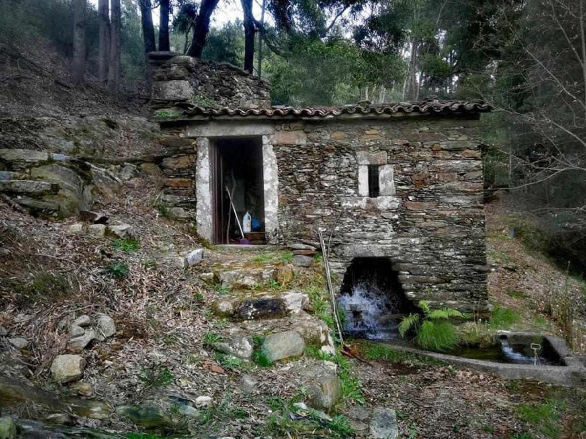 Viana Do Castelo - Amonde Village Casa P - Conforto Qualidade Natureza Экстерьер фото